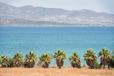 Ktima Zantidi Antiparos