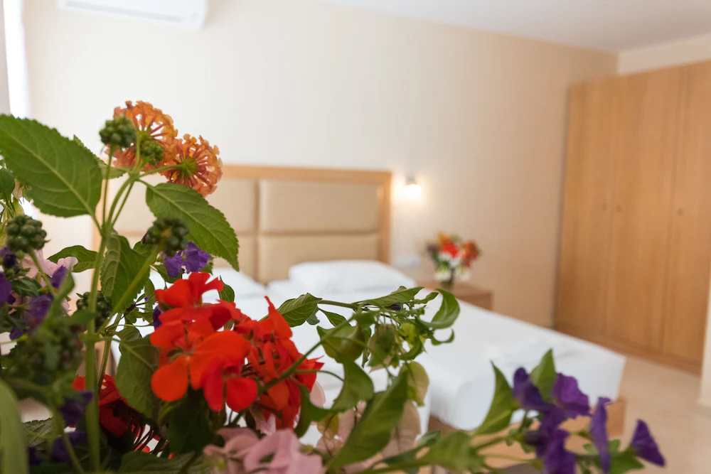 Amaryllis Beach Front Hotel