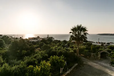 Creta Vitalis