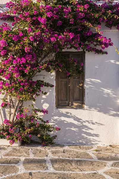 Casa Anna Suites