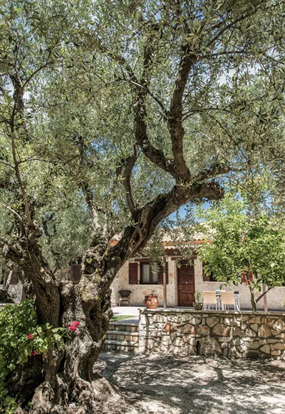 Agrikia Villa - Varvarigos Houses