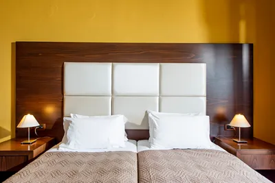 THEO HOTEL