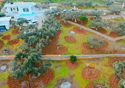 Villa Konaki