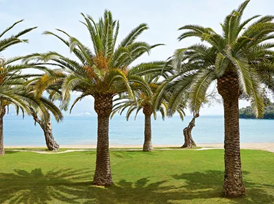 Grecotel Daphnila Bay