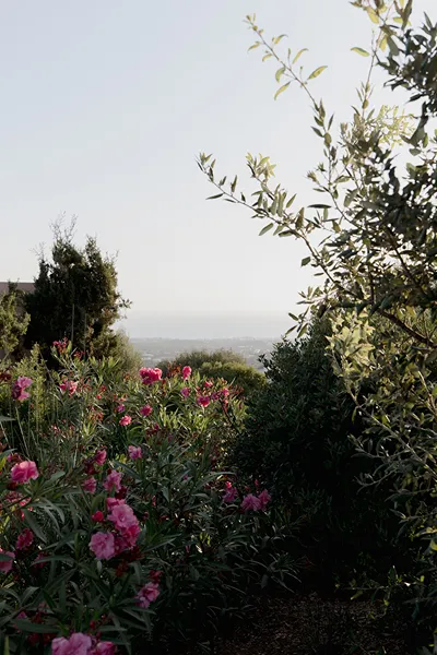 Village Heights Resort