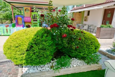 Anassa Studios