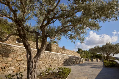 Selana Suites Sifnos