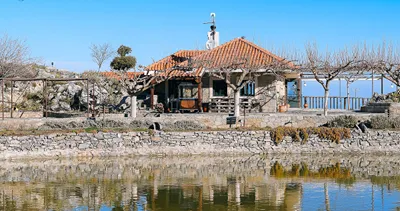 Delina Mountain Resort