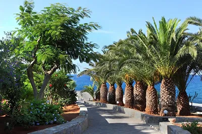 Nana Golden Beach