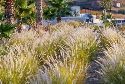 Desiterra Resort