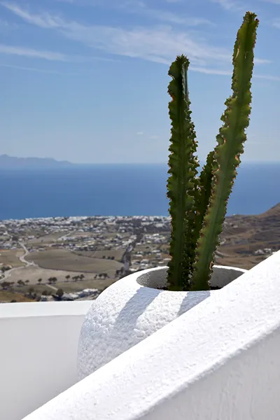 Blue White Villa