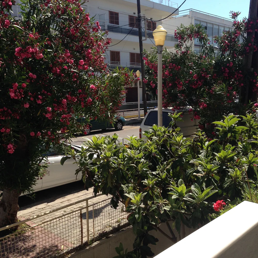ZEFYROS HOTEL