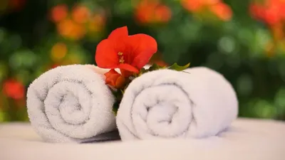 Dionysos Luxury Hotel Mykonos