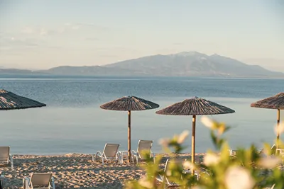 Calma Beach Hotel Chalkidiki