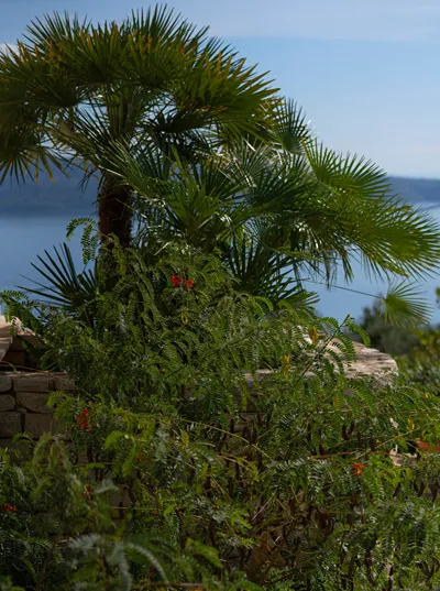 Bellina Villa