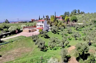 Lion Villa