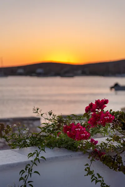 Irene Hotel & Studios | Beachfront