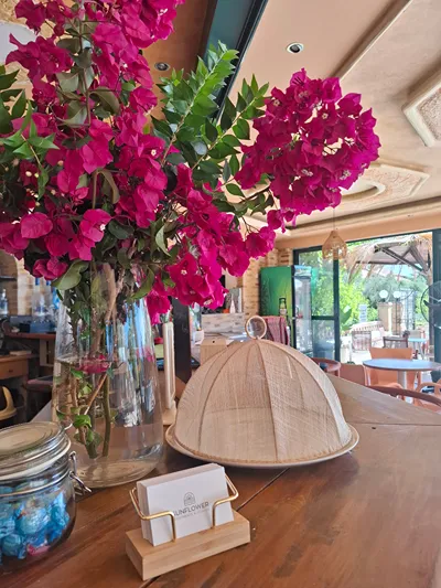 Sunflower Apartments & Studios Zakynthos