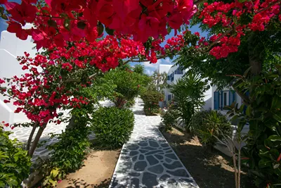 Acrogiali Beach Hotel Mykonos