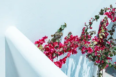 Bohemian Luxury Boutique Hotel Paros