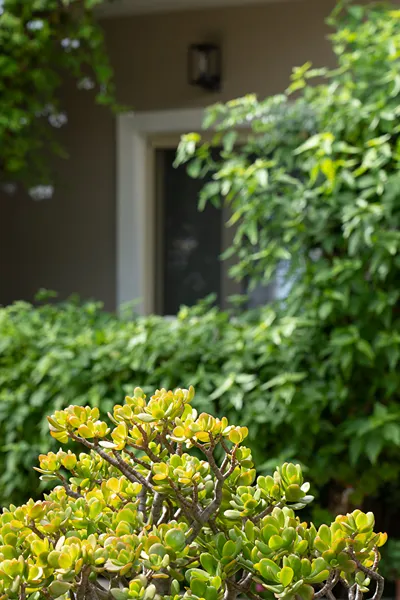 Lemonia Accommodations