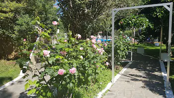 HOTEL MACEDON
