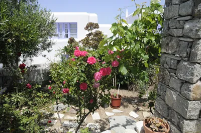 Andriani's Guest House
