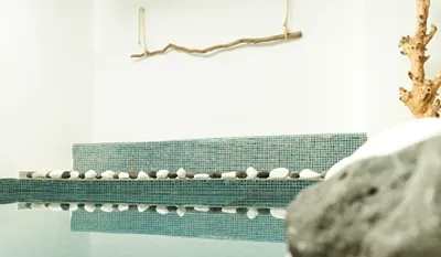 Astro Palace Hotel & Suites Santorini