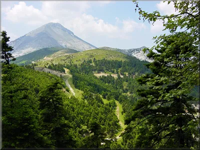 Steni Hotel Evia