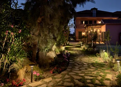 Anemelia Retreat