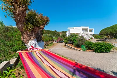 Tselios Apartments & Studios