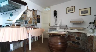 Castillio Hotel Astypalaia