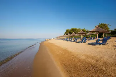 Blue Dolphin Hotel Chalkidiki