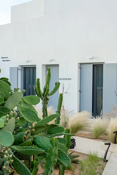Poema Antiparos