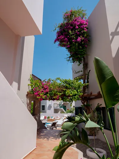Elmi Suites