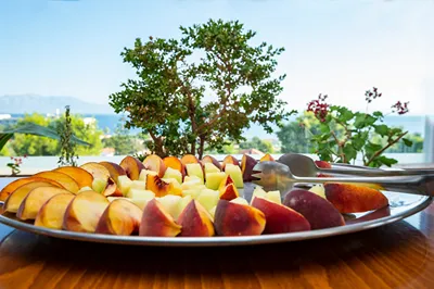Dolphin Resort Hotel & Conference Attica