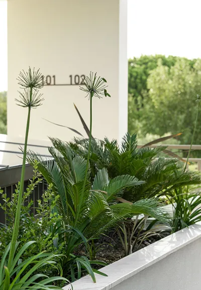 Eco Green Residences & Suites Halkidiki