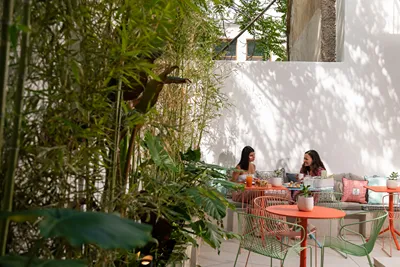 Alkima Athens Wellness Stay