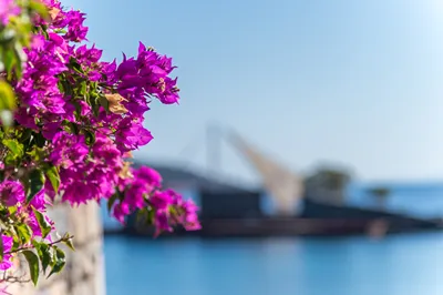 Elounda Beach Hotel & Villas