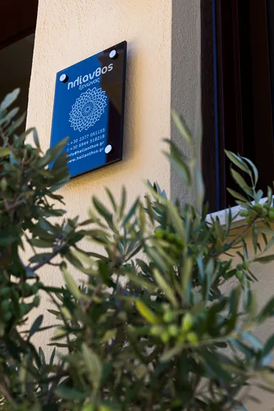 Helianthus Guesthouse
