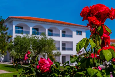 Flegra Palace Halkidiki