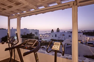 Adonis Hotel Mykonos