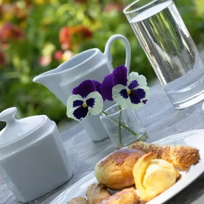 Palio Eleotrivio Hotel Pelion