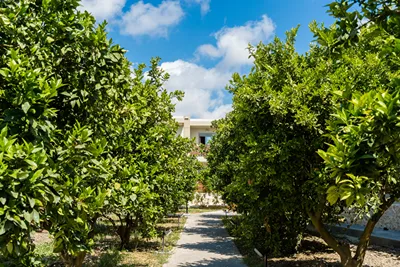 Ilyssion Holidays Hotel