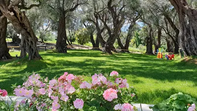 Hotel Yannis Corfu