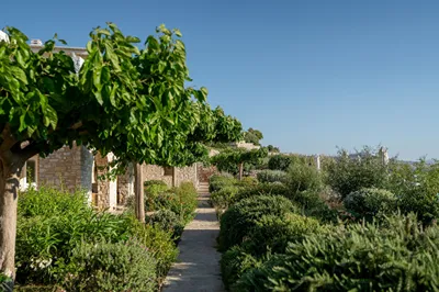 Kriolithos Houses