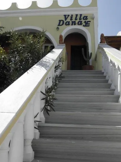 Danae Villa