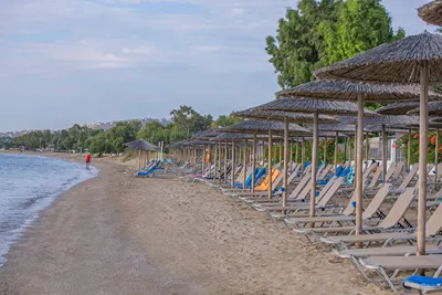 Golden Coast Hotel & Bungalows