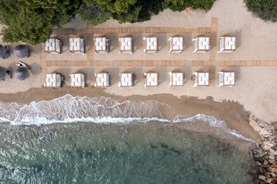 Blue Dolphin Hotel Chalkidiki