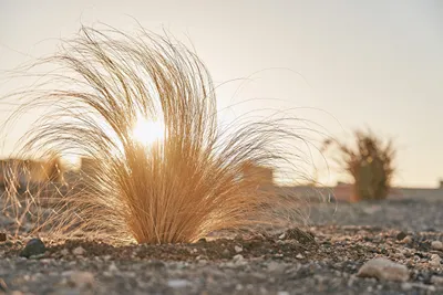 Divine Cave Experience